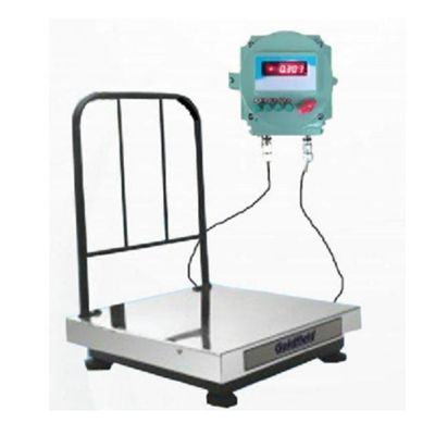 Flame Proof Scale